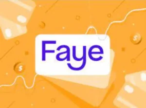 faye-travel-insurance